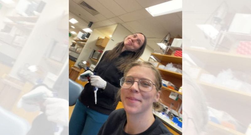 Russian scientist at Harvard Medical School detained by ICE at Boston airport