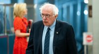 Sanders slams Trump for trying to deport Columbia student: 'You can't exile political dissidents'