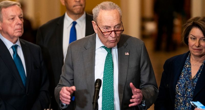 Schumer brushes off leadership questions: ‘My caucus and I are in sync’