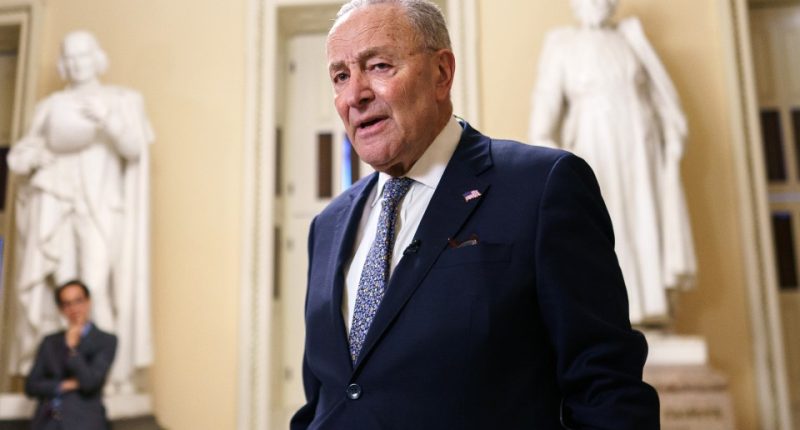 Chuck Schumer speaking to the media at the US Capitol.