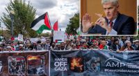 Senate GOP chair launches probe into American Muslims for Palestine for 'alleged ties to Hamas'