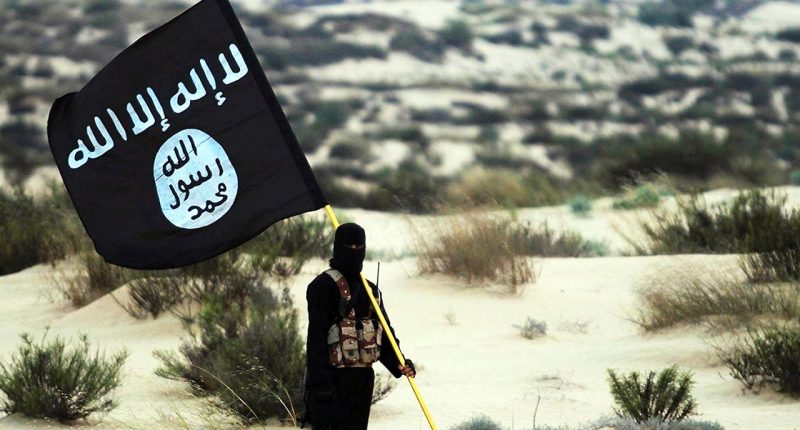 Senior Islamic State leader killed in Iraq, Trump says his 'miserable life was terminated'