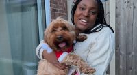 Woman holding a dog wearing a Santa outfit.