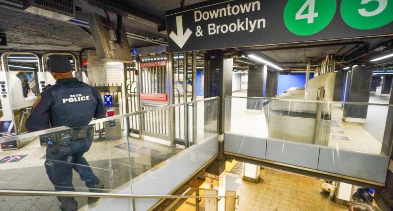 Shouting maniac hurls bottle at woman, 67, in random on subway assault as victim rails about attacker's lengthy rap sheet