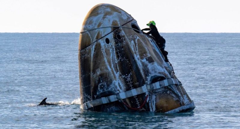 Starliner astronauts Suni Williams, Butch Wilmore return to Earth after 9 months in space