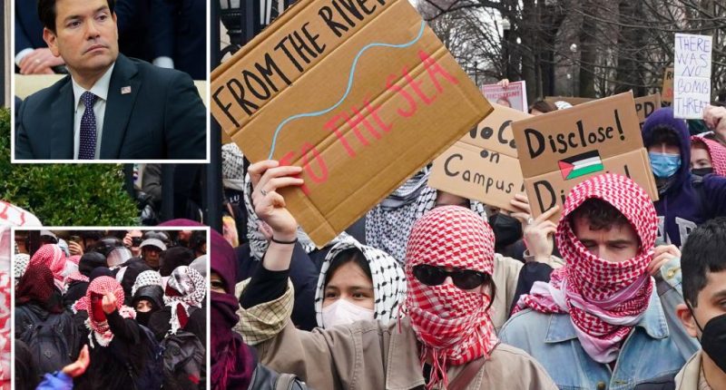 State Department to deploy AI-powered 'catch and revoke' tools against Hamas sympathizers: report
