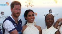 Sussex brand is 'toxic', says head of Prince Harry's charity Sentebale