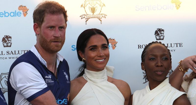 Sussex brand is 'toxic', says head of Prince Harry's charity Sentebale