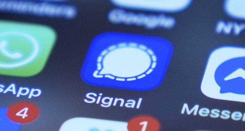 Tampa Bay veterans react to group chat on military strikes shared with journalist