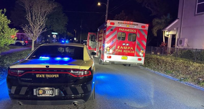 Tampa man stole ambulance, led police on pursuit: FHP