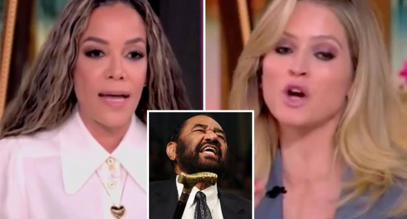 'The View' hosts get into fiery clash over Dems 'not meeting the moment' during an 'existential crisis'