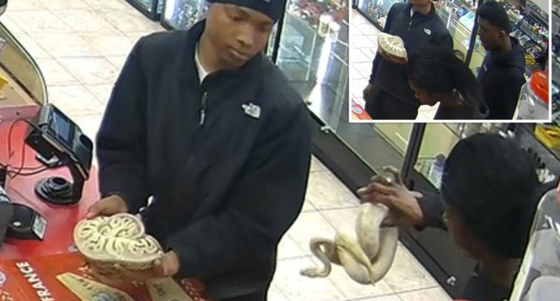 'The snake is a weapon'