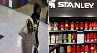Thirsty thieves steal 80 trendy Stanley cups from Dick's Sporting Goods on Long Island