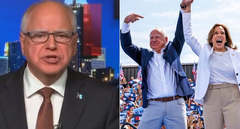 Tim Walz reveals who he blames for the 'mess' Democrats are in