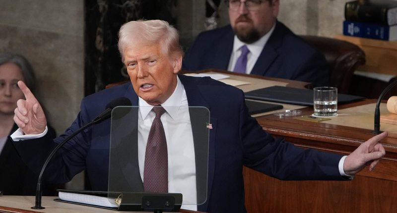 Trump accuses Trudeau of using tariffs drama to 'stay in power'