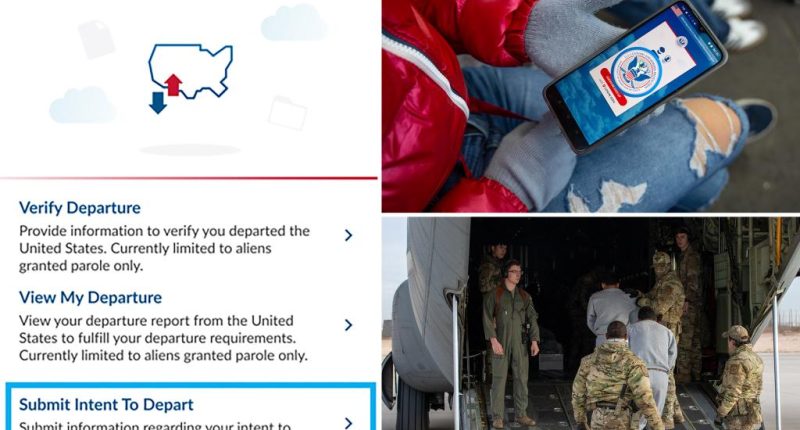 Trump admin repurposes problematic CBP One app for migrants to 'self-deport': 'leave now'