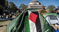 Trump antisemitism task force chief: Columbia settlement 'not even close'