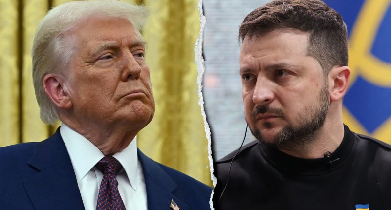 Trump holds 'very good' call with Zelenskyy following deal with Putin