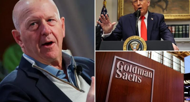 Trump wants to 'level the playing field' with tariffs: Goldman Sachs CEO