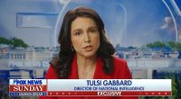 Tulsi Gabbard says Ukraine values may no longer 'align' with the US