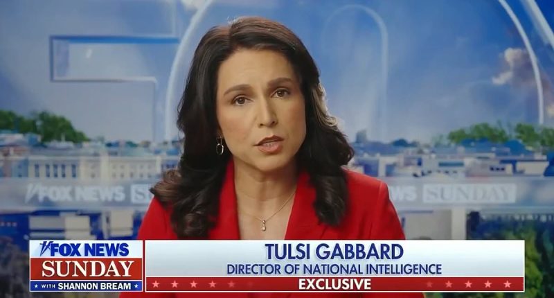 Tulsi Gabbard says Ukraine values may no longer 'align' with the US