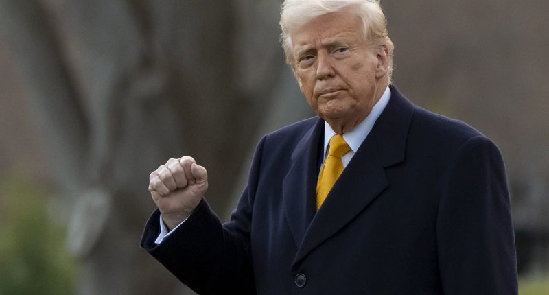 Ukraine 'agrees to 30-day ceasefire' with Russia as Trump lifts pause