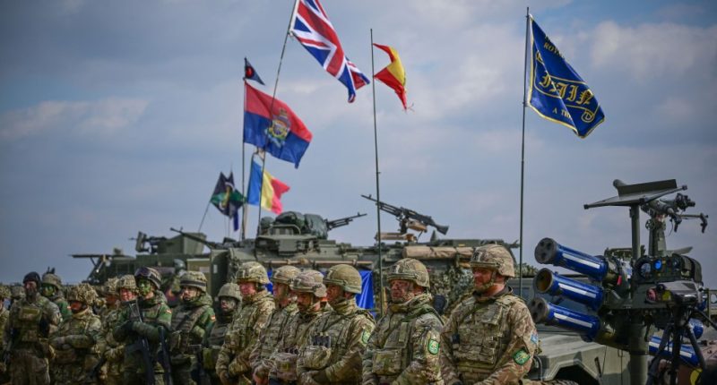 NATO military personnel standing in formation during a large-scale exercise.