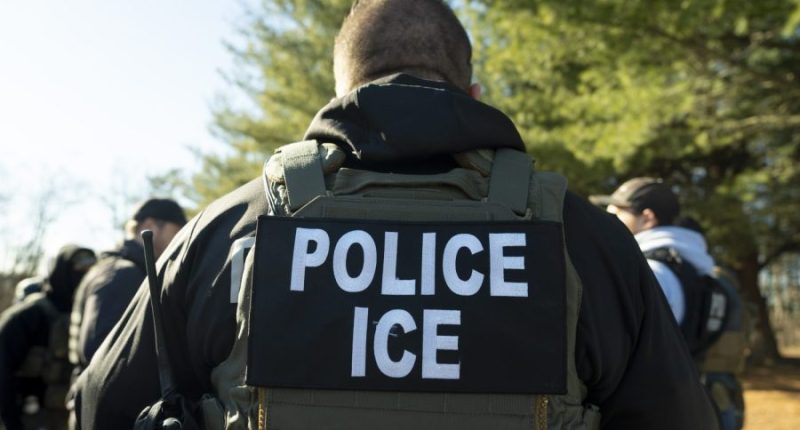 University of Alabama doctoral student arrested by ICE
