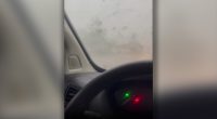 VIDEO: Florida woman stuck in car as tornado passes by; debris goes flying