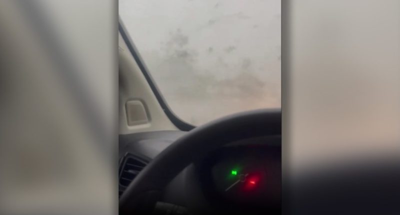 VIDEO: Florida woman stuck in car as tornado passes by; debris goes flying