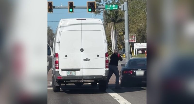 VIDEO: Man beats car with bat after flare gun fired during Ruskin road rage incident