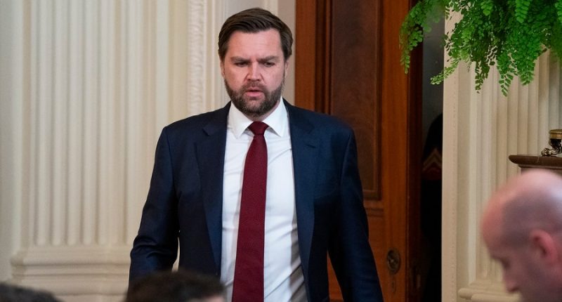 Vance says pro-Ukraine protestors confronted him while he was with his daughter