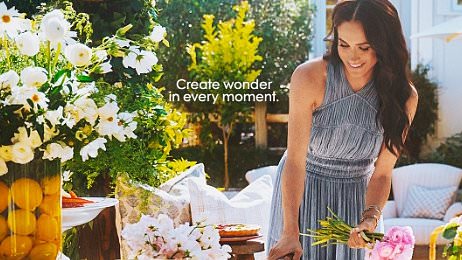 Viewers highlight similarities between Meghan's recipes