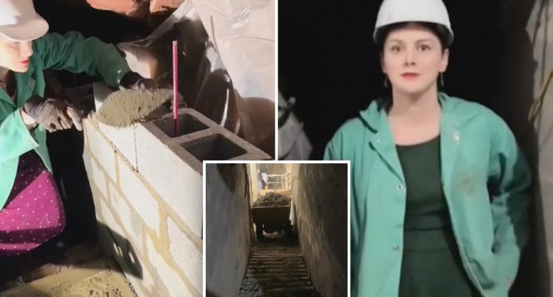 Virginia 'Tunnel Girl' granted permit to continue digging massive bunker under home