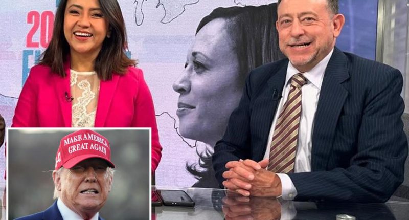 Voice of America puts journalist on 'excused absence' after anti-Trump X post: report
