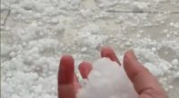Hailstones covering the ground, with a hand holding some.