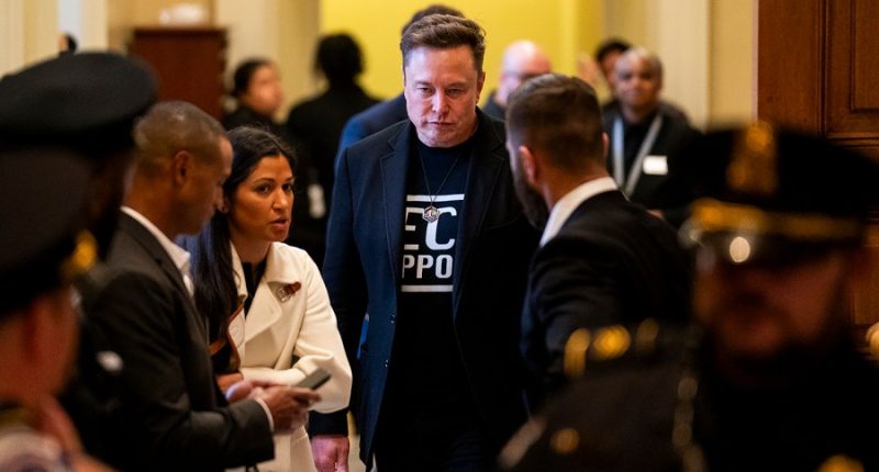 White House taps Musk to investigate Signal chat mishap