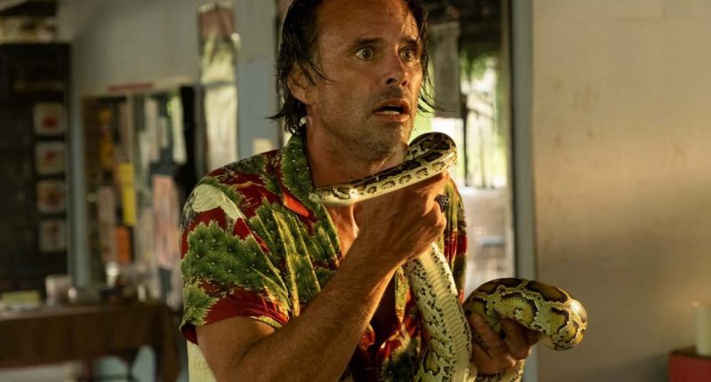 Who Do Fans Think Will Die In ‘The White Lotus’ Season 3? The Biggest Fan Theories