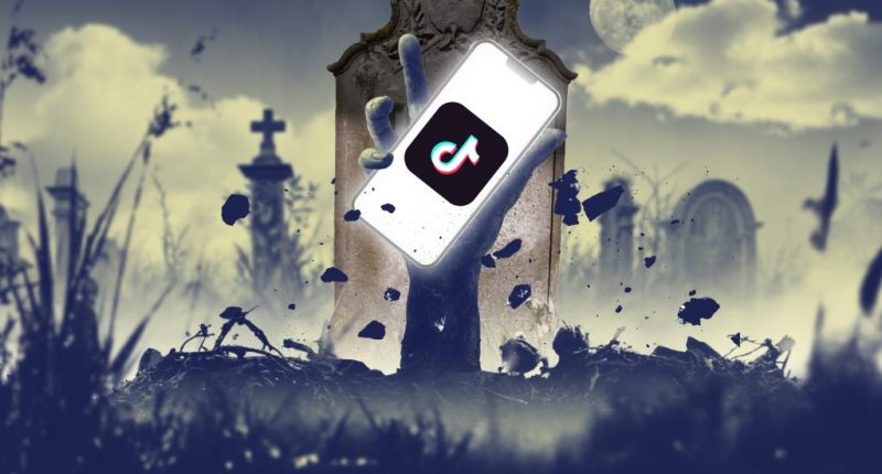 Why Trump's TikTok deal worries deep-pocketed investors