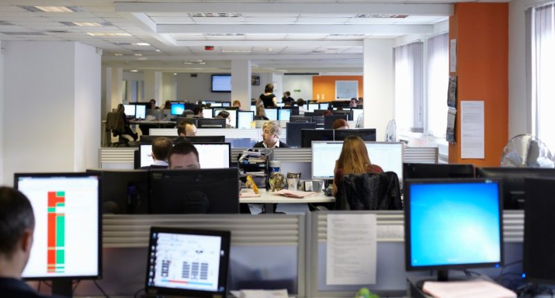 Busy office with many employees working at computers.