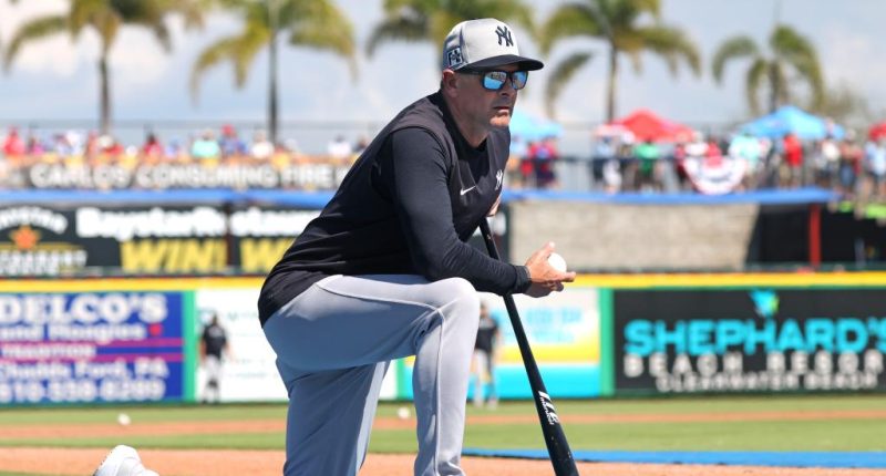 Yankees' Aaron Boone doesn't hide his thoughts on robot umpires