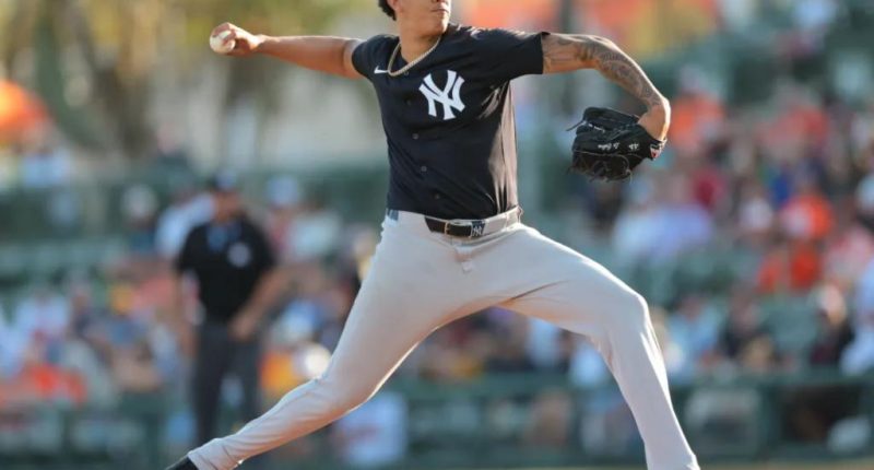 Yankees' Carlos Lagrange hits 100 and 101 mph on radar gun