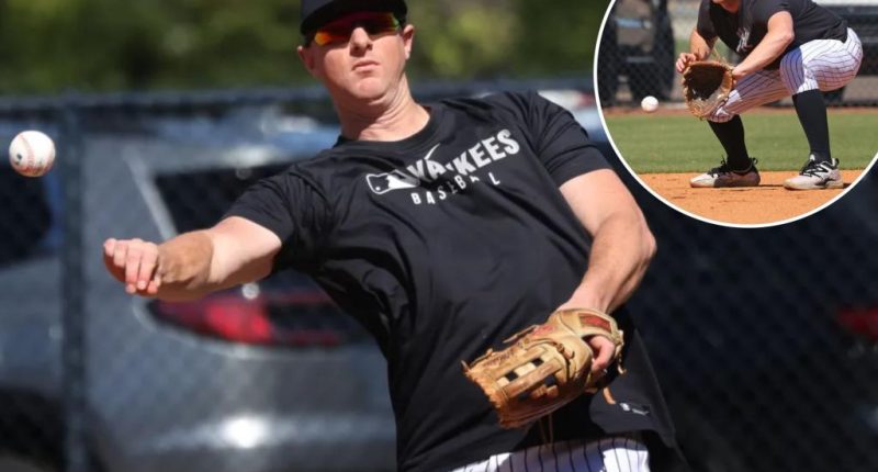 Yankees' DJ LeMahieu in disbelief after latest injury: 'Sick joke'