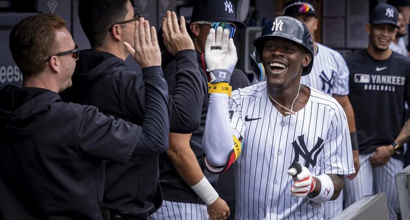 Yankees star brutally hits back at Dave Portnoy over torpedo bats