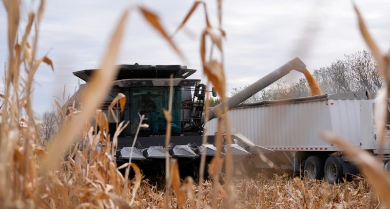 'Bear with me,' Trump says as both farmers and consumers brace for tariff effects