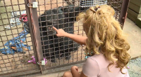 'Chimp Crazy’ Tonia Haddix pleads guilty to three felony charges