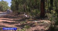 'Devastating': Three mates killed in shocking camping trip smash