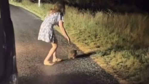 Influencer seen taking baby wombat