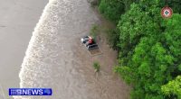 Queenslanders have had to climb on top of cars, roofs and even up trees as flash flooding struck in the wake of ex-tropical cyclone Alfred.