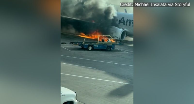 'I thought we were going to die': Tampa woman recalls escaping burning plane